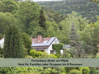 Ferienhaus Pfälzer Wald Weyher - 9