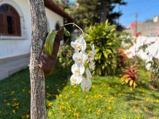 Casa da Vila, charmosa e espaçosa, fica a 150 metros da praia das castanheiras - 5