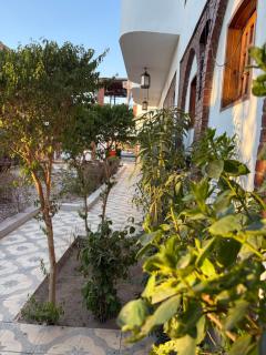 Amenhotep Hotel - 0