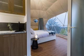 Land Nautical Glamping and Distillery - 9
