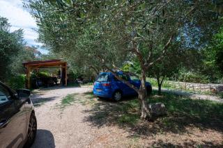 Apartments by the sea Tkon, Pasman - 24280 - 5
