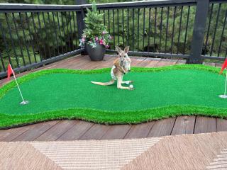 Rooftop Patio, Hot Tub, Treehouse with Slide, Family and Pet Friendly - 7