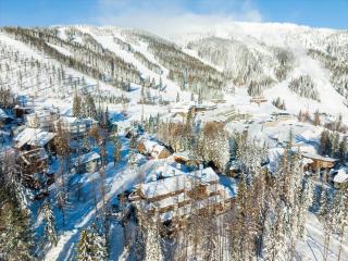 Cozy Ski-In Ski-Out Big Mountain Condo - 7