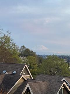 Modern Mt Rainier Rooftop 7 min to Stadium - 8