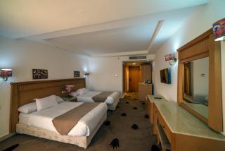 Regency pyramids view hotel - 1
