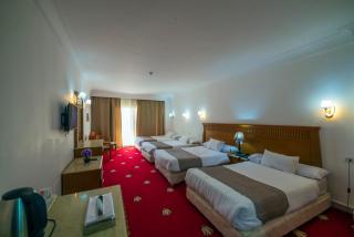 Regency pyramids view hotel - 2