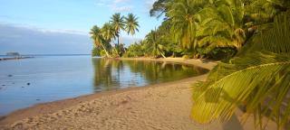 Le Neliza Beach Lodge Raiatea - 7