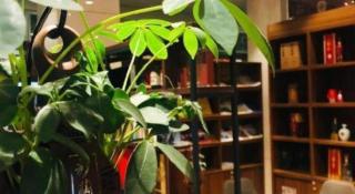 Greatwall Hotel - Zhengzhou - 5