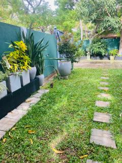 Yala Lemon View - 5