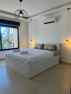 Luxury Diplomatic Apartment North Abdoun - 1