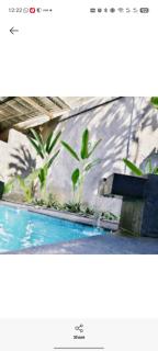 Villa surf and fly kuta - 5