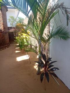 Mash villa - 4