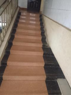 Shinatra suites - 2
