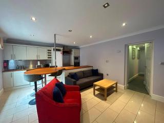 Characterful 2BDR Cottage Flat with Terrace Dublin - 4
