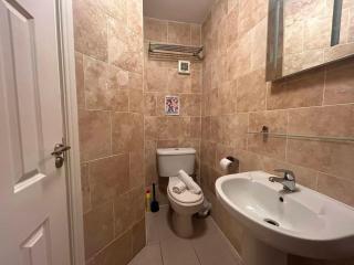 Characterful 2BDR Cottage Flat with Terrace Dublin - 1