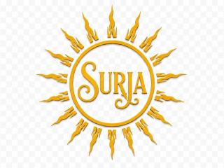 Hotel Surja Jaisalmer - 9