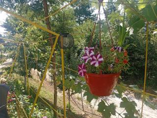 Apartmanska kuća Kobaš - 5