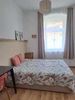 Apartment Amelie - near city & nature - 7