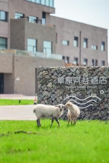 Steppe Valley Resort (Ulan Mod Grassland) - 8