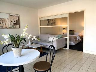 THE WATERFRONT APARTMENTS 1 Bedroom Studio Apartment with Street Views located on the Geelong Waterfront - 4407 - 0