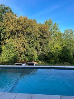 La Canopée des Arbres, Anna - 1
