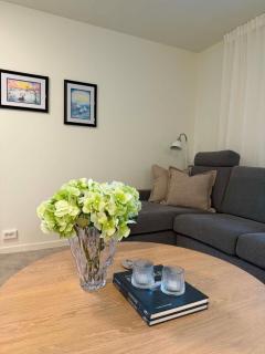 3-room apartment in Tana Bru - 9