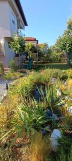 Villa IHOR- Private Pool Villa -Pieria - 9