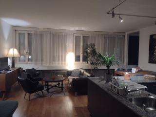 Airy and Central apartment in Zurich - 5