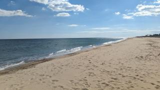 Summer cottage - 1