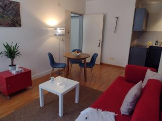 Cozy and Central flat in downtown Zurich - 0