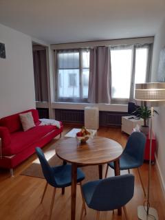 Cozy and Central flat in downtown Zurich - 8