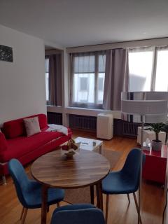Cozy and Central flat in downtown Zurich - 3