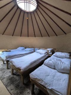 Nurdin Eco-Yurts - 4