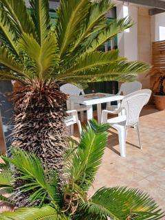 Casina dei Fiori - 6
