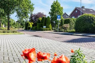 Dromen op de Veluwe - 8