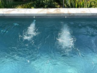 L'ONAGRE du Chant du Buc, gîte de standing, piscine d'exception, vaste jardin - 4