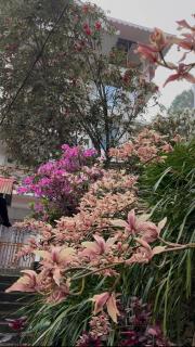 Namsewal homestay - 3