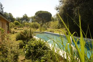 L'ONAGRE du Chant du Buc, gîte de standing, piscine d'exception, vaste jardin - 7