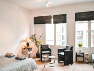 Lighthouse apartment in Heart of Antwerp - 1