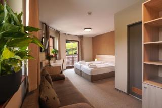 Wellness hotel Sauna - 3