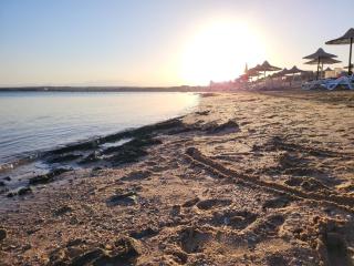 Beachfront luxury Palm Beach Piazza Private Beach Sahl Hasheesh - 6