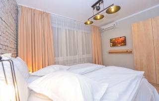 Athene - 1 Bedroom next to Victoria Avenue and Cismigiu Gardens - 4