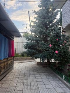 Дежавю - 3