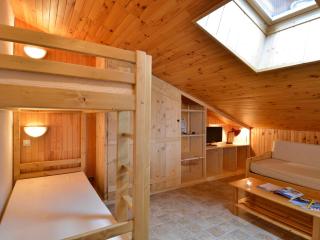 Studio chaleureux, ski aux pieds, animaux admis - FR-1-181-2765 - La Plagne Tarentaise - 2