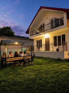 cottage in tsemi (Borjomi) - 0