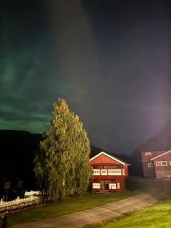 Hyggelig leilighet på småbruk - 3