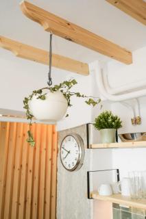 The Extravagant studio in Pagkrati, Near Stadium - 5