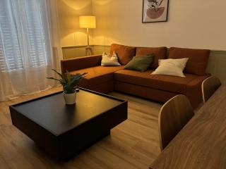 Le Carnus - Grand T3 - Rodez Centre - 4