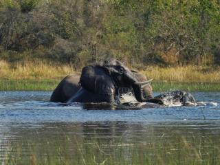 Xudumela Conservancy - 4