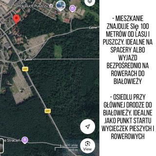 Apartament przy Puszczy - 8